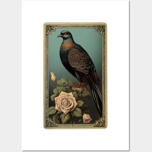 Pigeon Tarot Vintage Bird Design Posters and Art